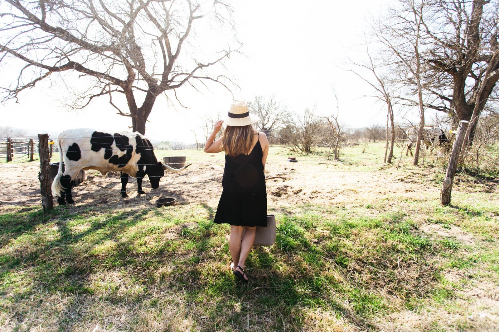 Get Lost in Bastrop: Hyatt Lost Pines Resort
