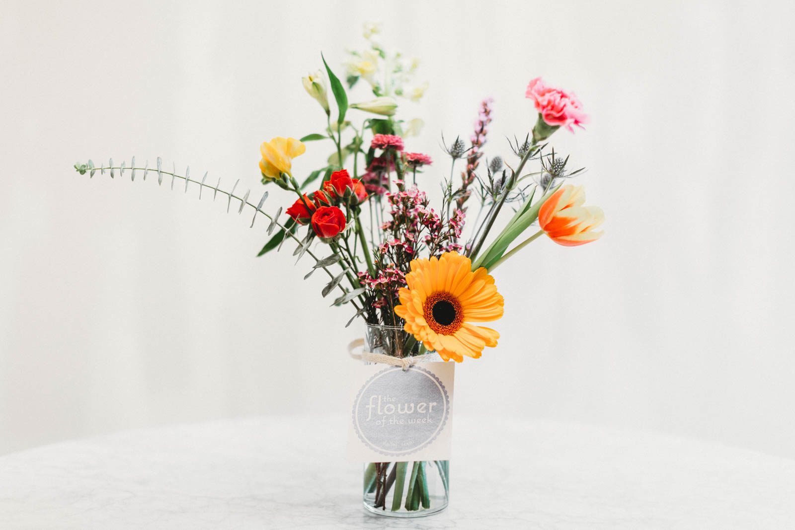 The Flower of the Week
