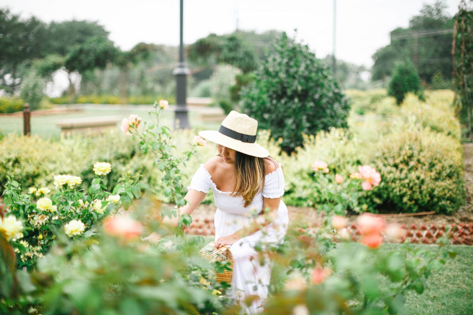 Stop and Smell the Roses Stephanie Drenka