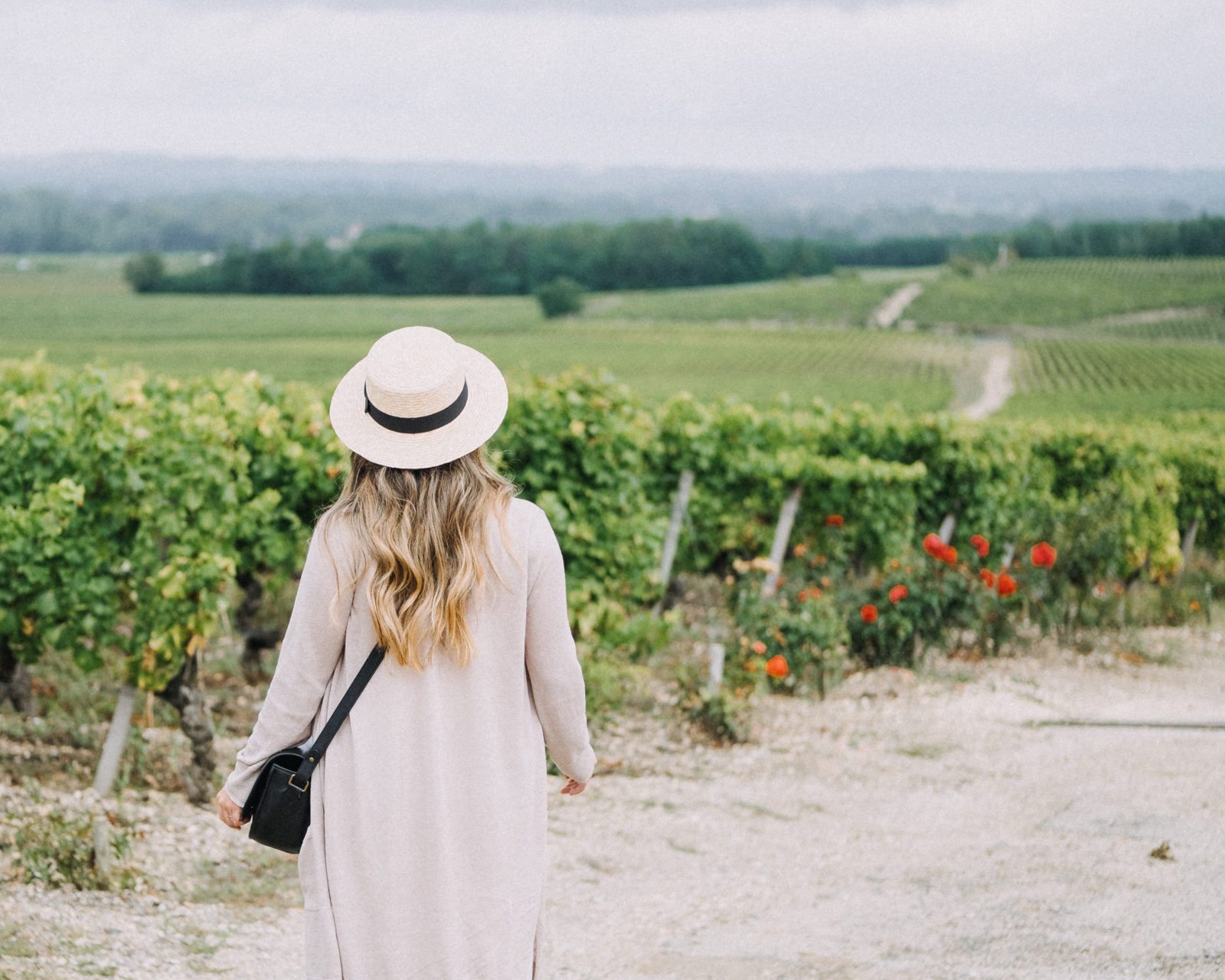 In the Sweetness of Sauternes